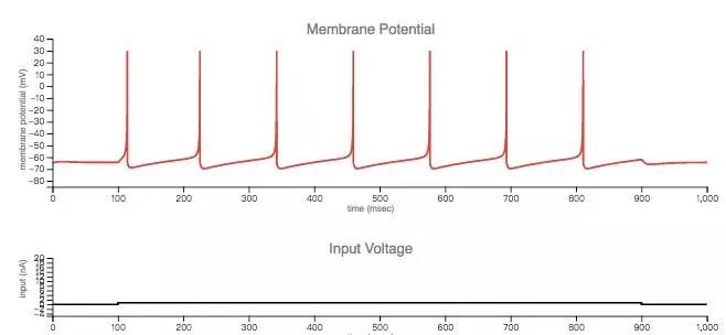 深度神经网络学习,简述人工神经网络的生物学基础