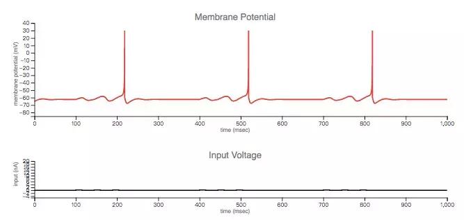 深度神经网络学习,简述人工神经网络的生物学基础