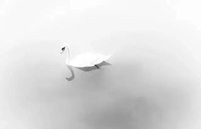 摄影怎么构图10大构图法,简单却实用的摄影技巧