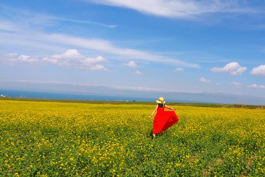摄影怎么构图10大构图法,简单却实用的摄影技巧