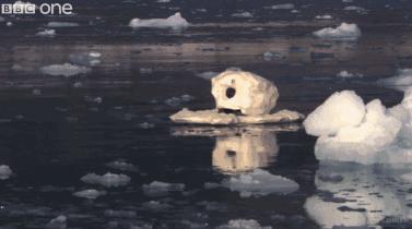 假期一定要给孩子看的20部纪录片,12部适合和孩子一起看的纪录片