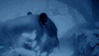 假期一定要给孩子看的20部纪录片,12部适合和孩子一起看的纪录片