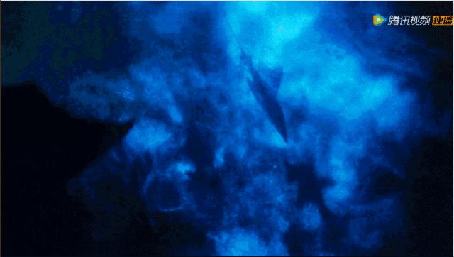 假期一定要给孩子看的20部纪录片,12部适合和孩子一起看的纪录片