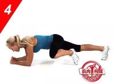 女生腹肌马甲线人鱼线,人鱼线和马甲线女图片