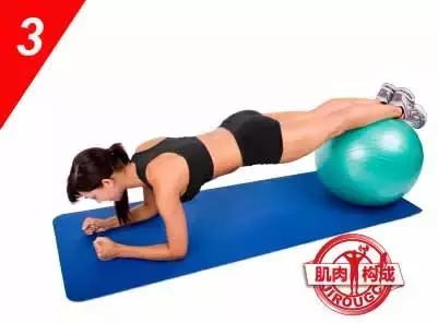 女生腹肌马甲线人鱼线,人鱼线和马甲线女图片