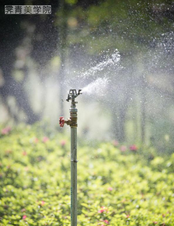 摄影光线基础知识大全,摄影基础知识入门光线