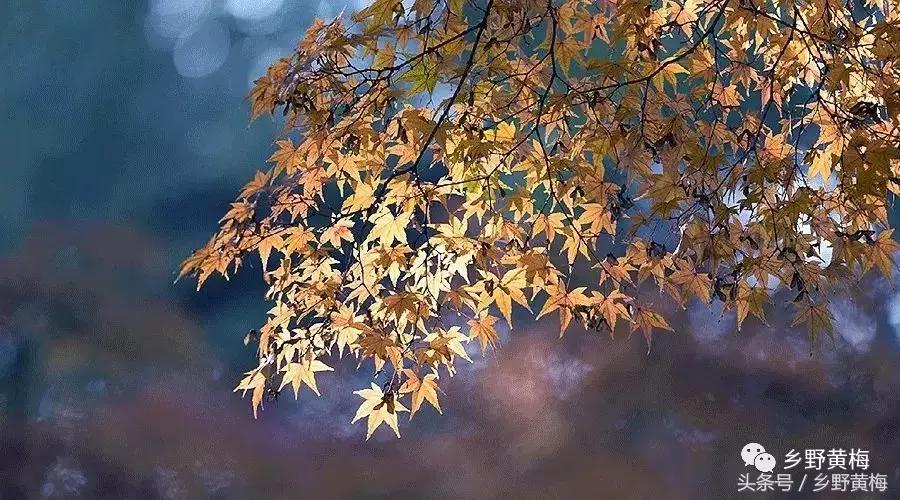 愿有岁月可回首宋亚轩,愿有岁月可回首录制