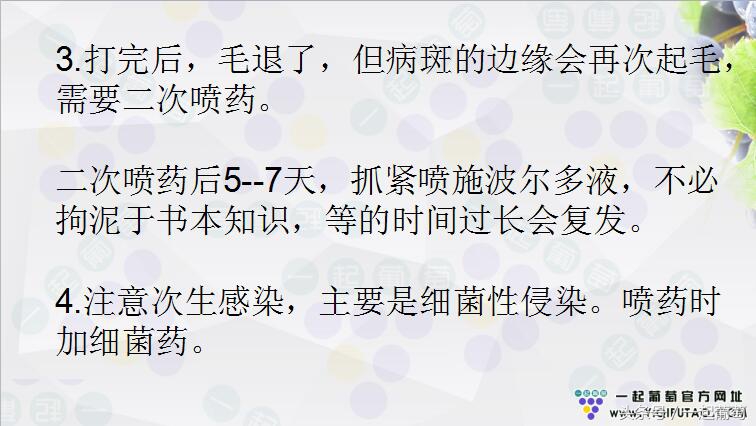 葡萄霜霉病的发生和防治,葡萄霜霉病严重发生怎么治疗