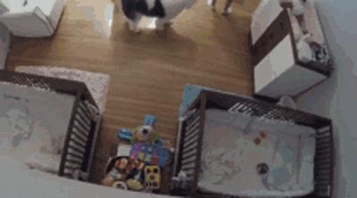 男女宝宝更换纸尿裤的注意事项,换纸尿裤的时候需要清洗吗