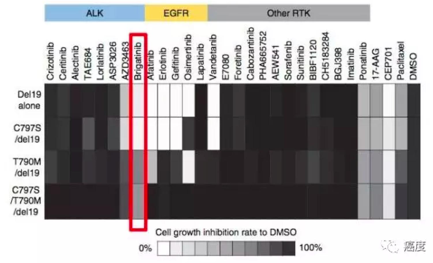 「重磅福音」AZD9291耐药有解啦!