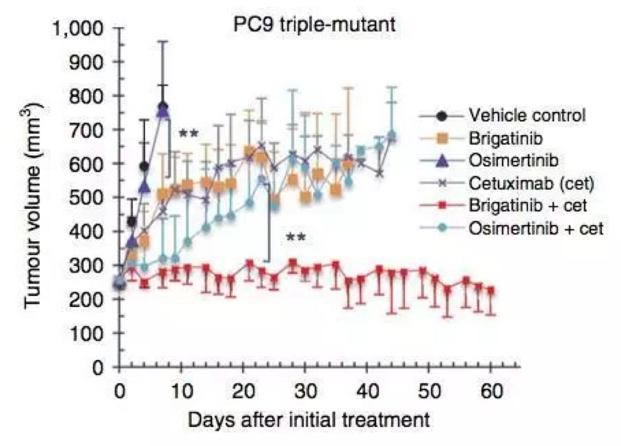 「重磅福音」AZD9291耐药有解啦!
