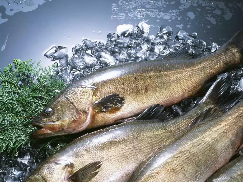 眼睛喜欢的9个好习惯,眼睛最喜欢