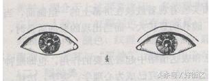 什么样的眼睛是桃花眼杏眼丹凤眼,丹凤眼加杏眼加桃花眼的结合体