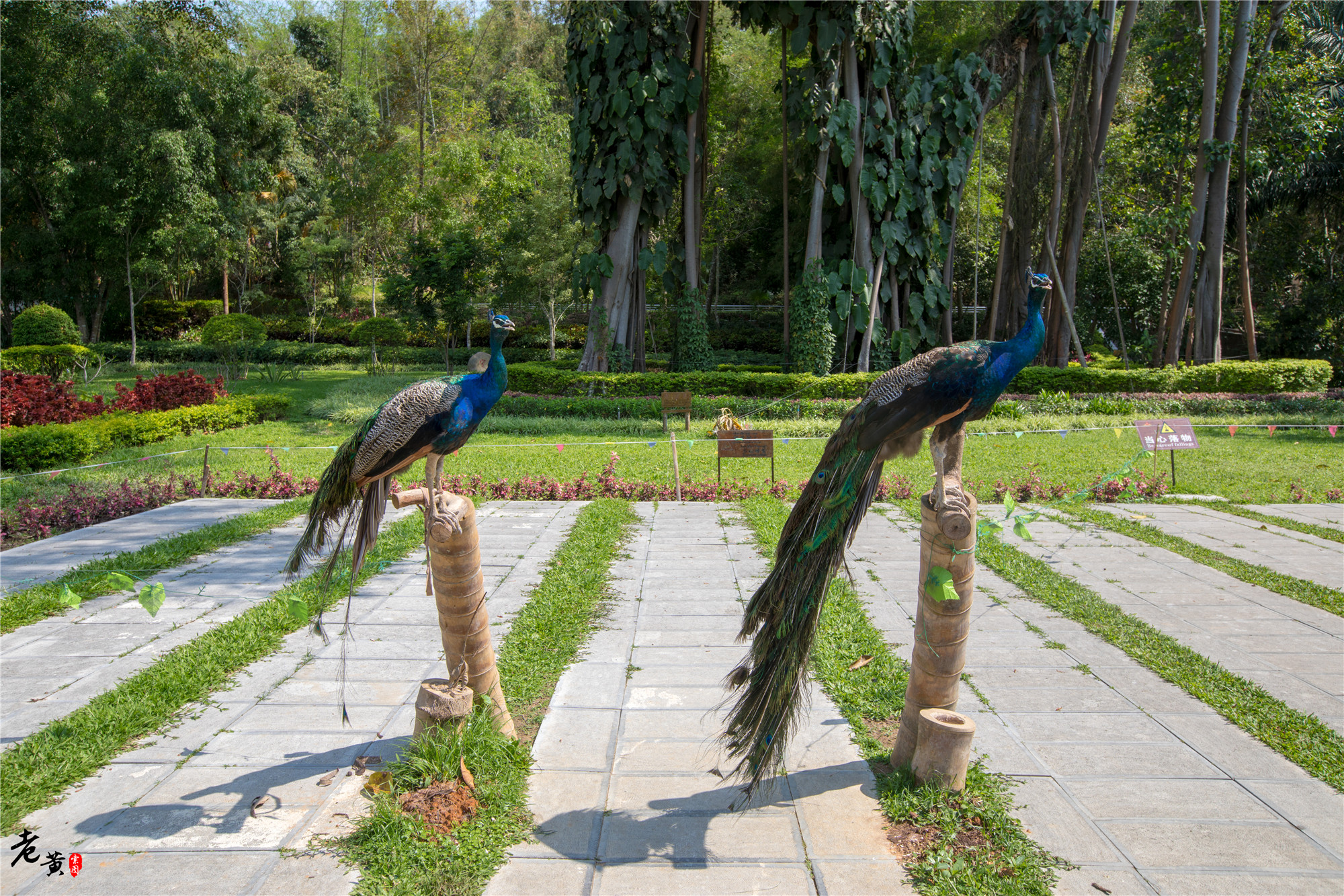 打洛国门景区,云南打洛风景区