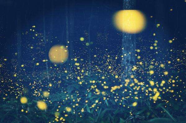 经典儿歌老歌300首音频,儿歌100首音频自动播放