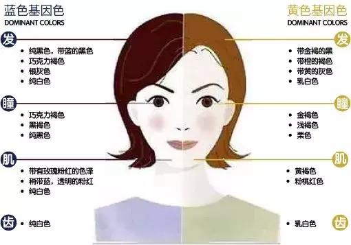 你知道彩虹是什么颜色吗,你知道彩虹的颜色吗英语翻译