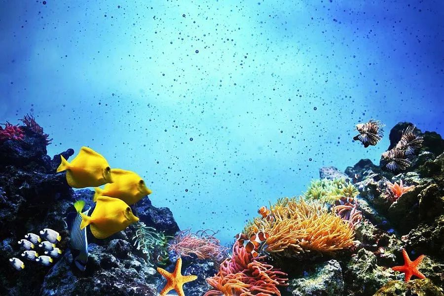 记录三亚快乐之旅留下美好的回忆,遇见初心合集