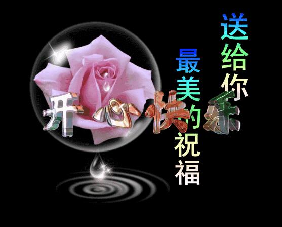 美丽好看的茶花图片,绝美茶花