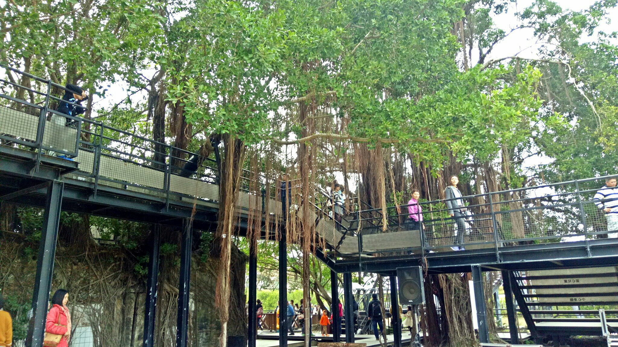 台南市景点,台南文化一日游