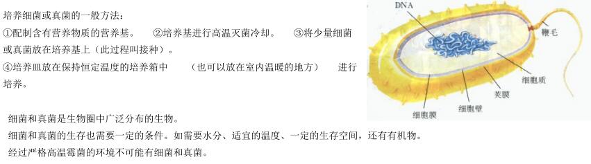 北师大版生物中考必背知识点,苏教版生物中考知识点总结填空版