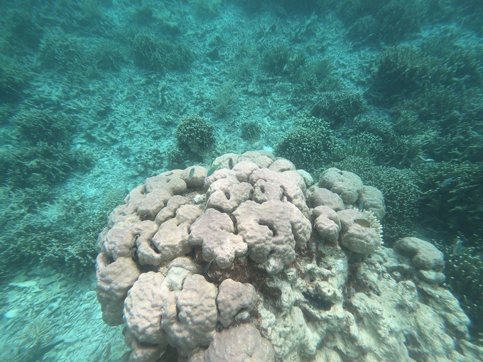 帕劳的海景风光给人美的享受,帕劳的海洋和沙滩风景图片