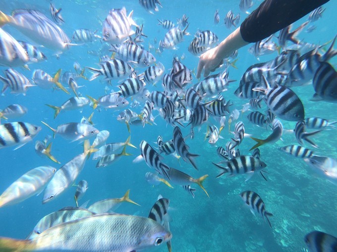 帕劳的海景风光给人美的享受,帕劳的海洋和沙滩风景图片