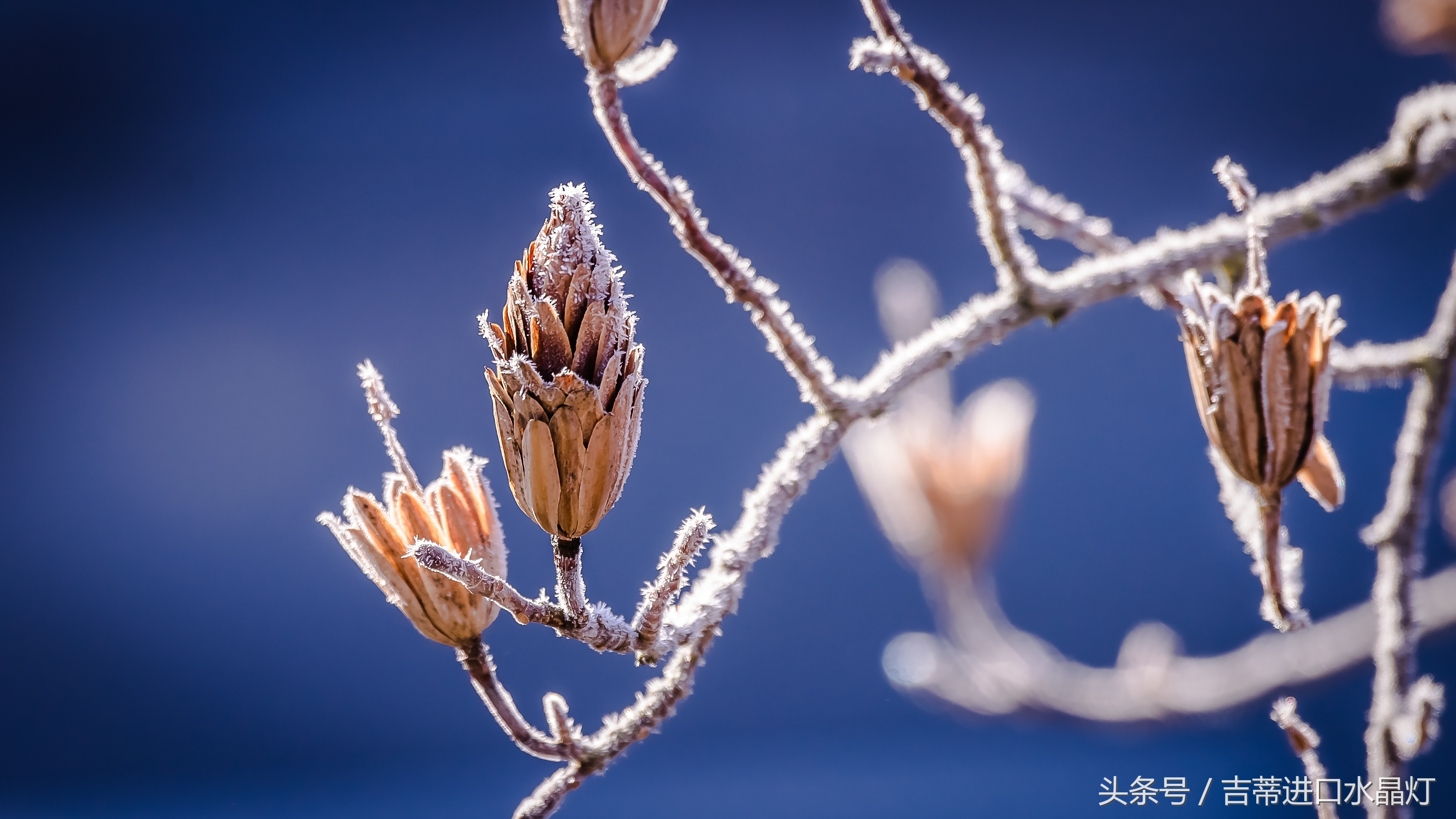 夏天太热怎么办,夏天太热了怎么避暑