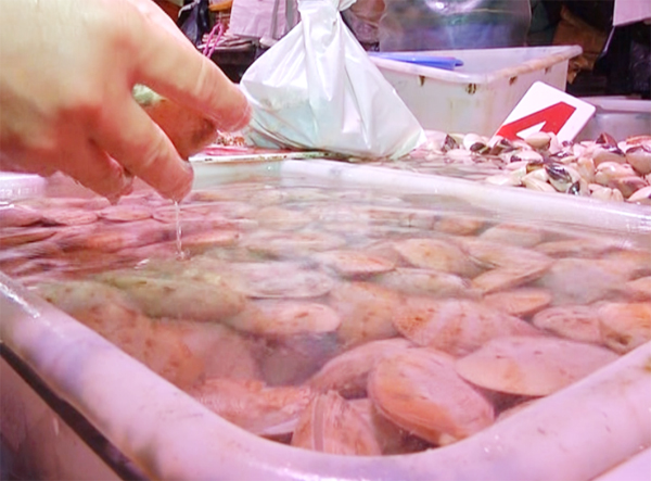 怎么挑好的花甲,怎么选最好的花甲