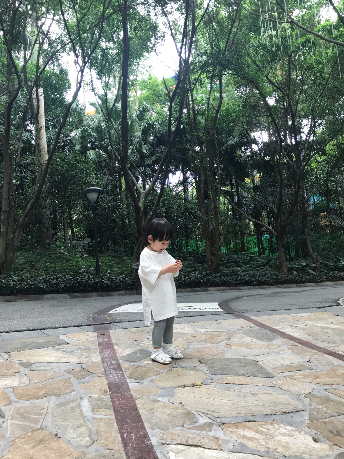 广州长隆熊猫酒店套票攻略,番禺长隆野生动物酒店住宿攻略