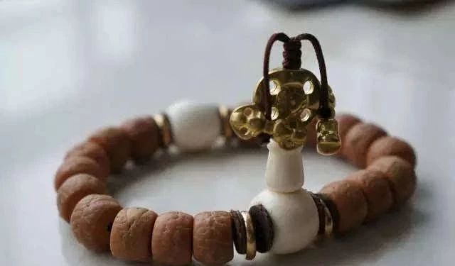 什么是凤眼菩提短桩,什么是凤眼菩提漏眼