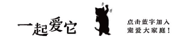 狗狗来生理期怎么办,怎么能断定狗狗来生理期了