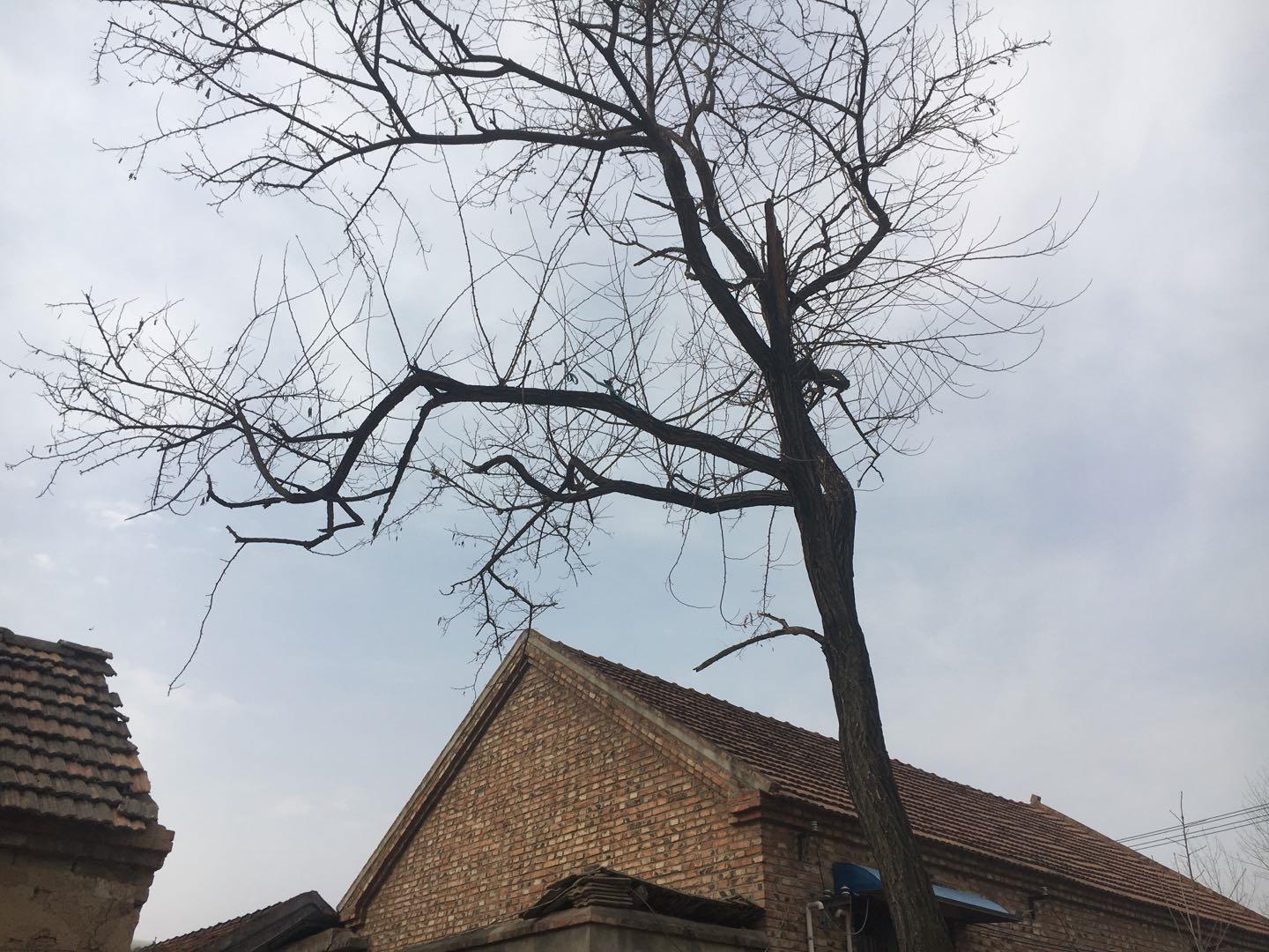 邳州土山镇大事件,邳州发生什么大事