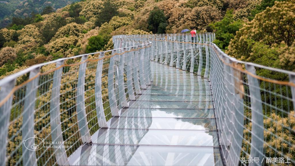 江西三清山风景区一日游攻略,江西圭峰山风景区攻略