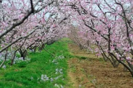 这趟高铁列车上的美食全国独有,渝贵高铁沿途风景