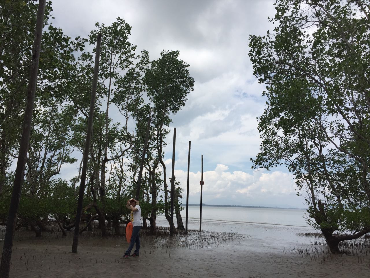 记录马来西亚原始森林,马来西亚古晋的最后一天