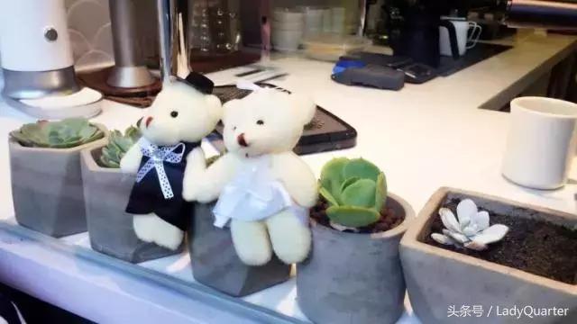 上海最好的咖啡店,上海闵行区氛围感好的咖啡店