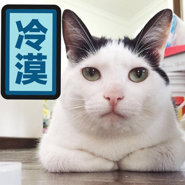 520直男求生法则礼物应该这样送 (520撩人礼物清单)