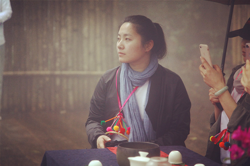 探寻800年古树普洱茶的神秘魅力,探寻古树普洱茶