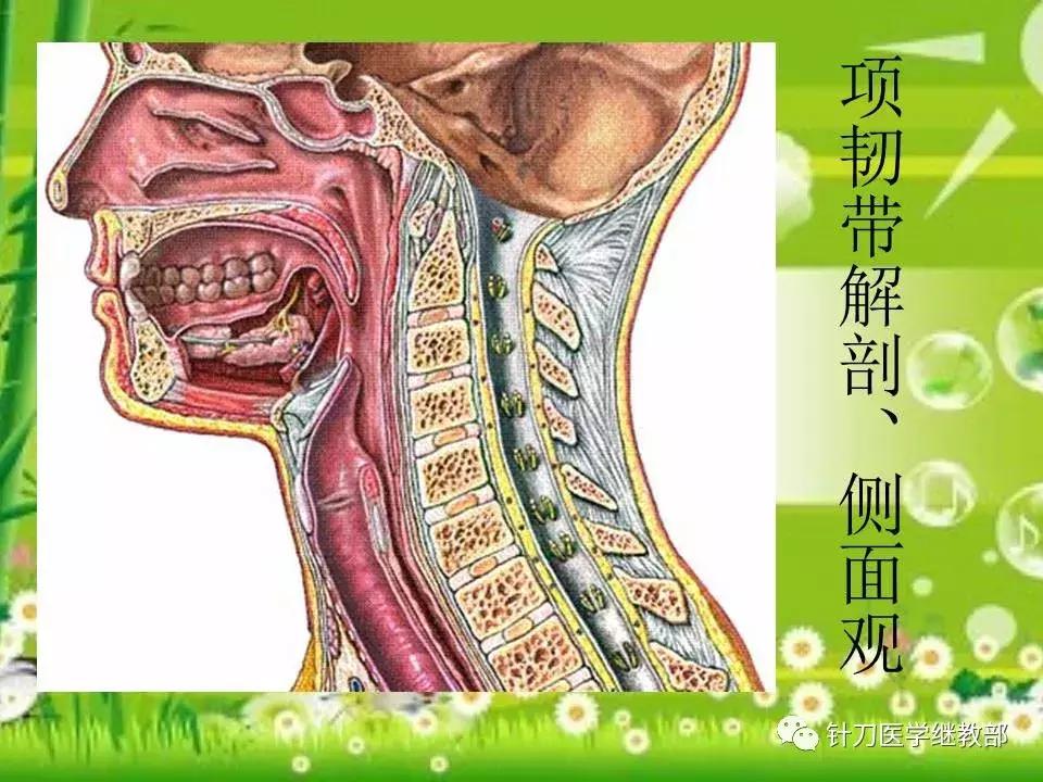 颈椎肌肉损伤用小针刀治疗,针刀治疗颈椎导致神经损伤