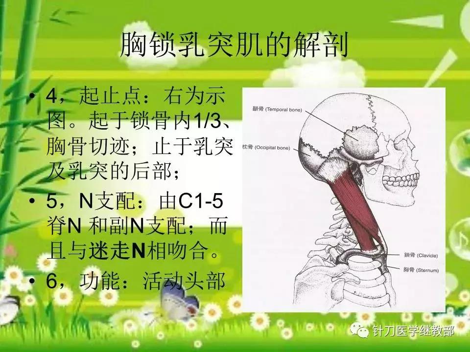 颈椎肌肉损伤用小针刀治疗,针刀治疗颈椎导致神经损伤