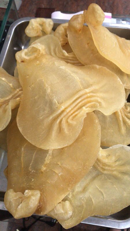 花胶知识小科普,花胶知识普及