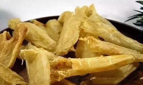 花胶知识小科普,花胶知识普及