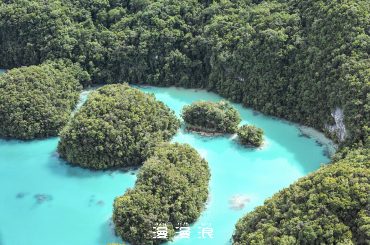 去帕劳玩是什么感觉,帕劳可以潜水吗