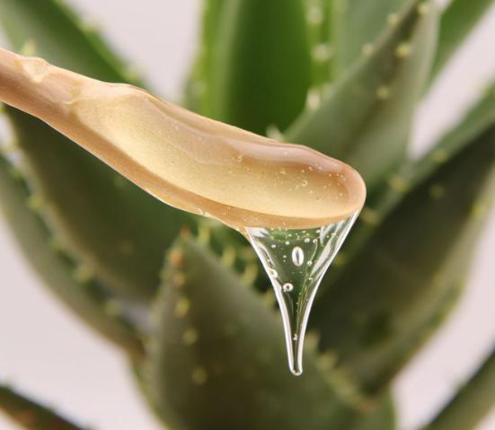 每天早晚使用不一样的芦荟胶,芦荟胶的8个小秘密