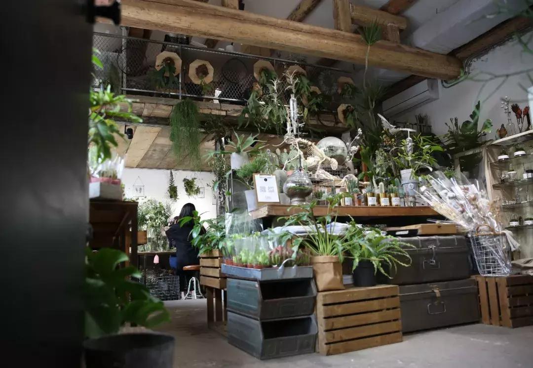 不爱回家探店,北京网红花店有哪些