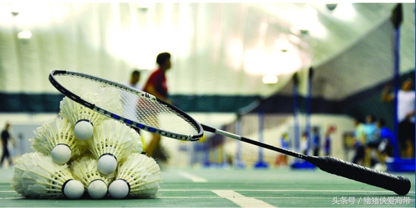 怎样选择一种羽毛球球拍最终指南,新手选乒乓球拍直拍好还是横拍好