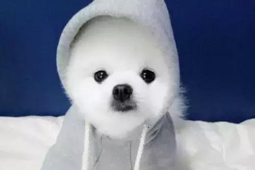 一天不洗的*裤内**有多脏？*裤内**多久要换新？关于*裤内**的3个知识！