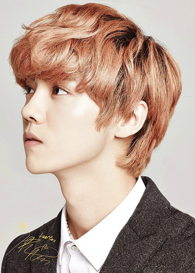 喜欢鹿晗的都是些什么人,喜欢鹿晗的原因