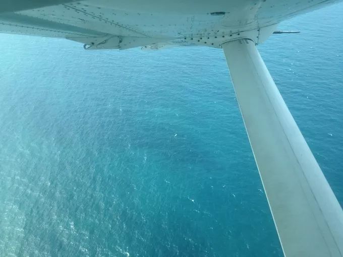 衣冠不整恕不招待厨师,衣冠不整不让进的饭店