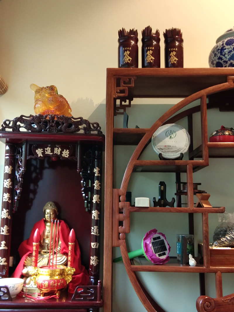 对话罗力瑜：一针济世中医救人